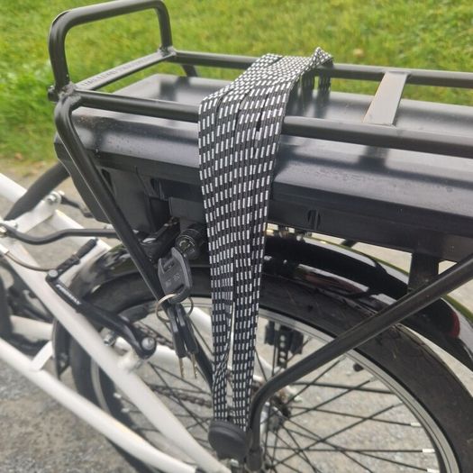 Assist hybrid electric bike
