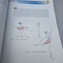 Dance Anatomy Image 3