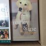 Dog Training books Image 8