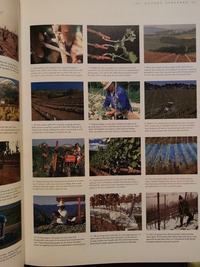 Wine Atlas