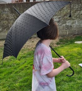 Vintage Black umbrella / parasol B & C Champion, Rare find