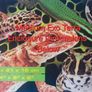 Corn Snake Medium Exoterra starter kit Image 5