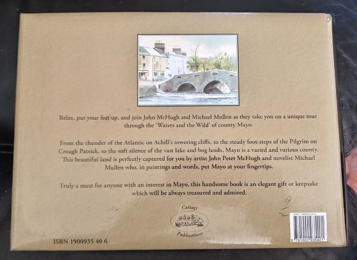 Mayo The Waters and the Wild Book