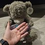 Tatty Teddy 21st birthday bear Image 8