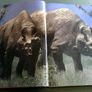 Walking with beasts A prehistoric safari Image 4