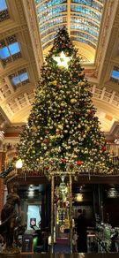 17ft Commercial Christmas tree