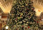 17ft Commercial Christmas tree