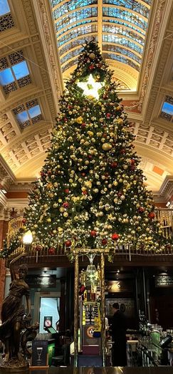 17ft Commercial Christmas tree