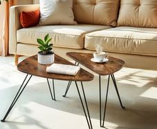 Coffee tables Set of 2 side tables