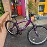 Ladies Mountain Bike Image 2