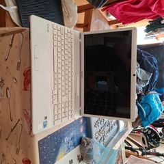Sony Vaio Laptop