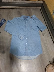 blue Tommy hilfiger shirt