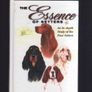 Books About Dogs - The West Highland Terrier, Setters, The Boxer & General Tip for taking Care of your Dog. Image 4