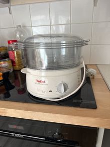 tefal steamer