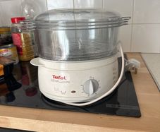 tefal steamer