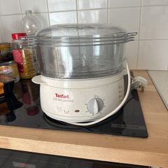 tefal steamer