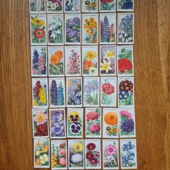 Vintage Cigarette cards