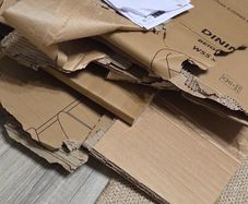 Cardboard