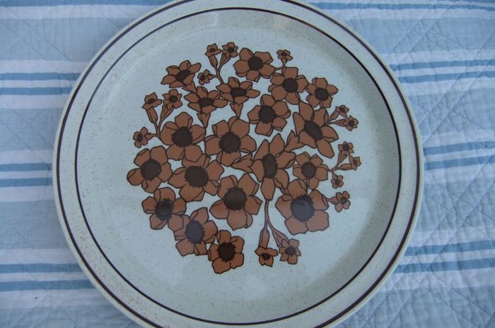 Arklow Pottery Rare Bridgid Pattern Plates x 2