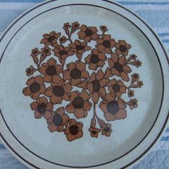 Arklow Pottery Rare Bridgid Pattern Plates x 2