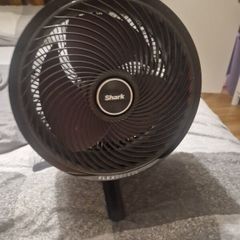 fans