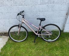 Barracuda Metallic Pink Bike