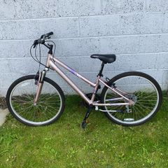 Barracuda Metallic Pink Bike
