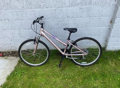 Barracuda Metallic Pink Bike