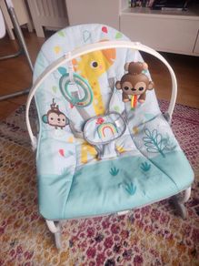 Baby bouncer (toddler rocker)