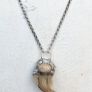 1 Prehistoric Bear Claw Talisman on a Sterling Silver Belcher Chain Image 8