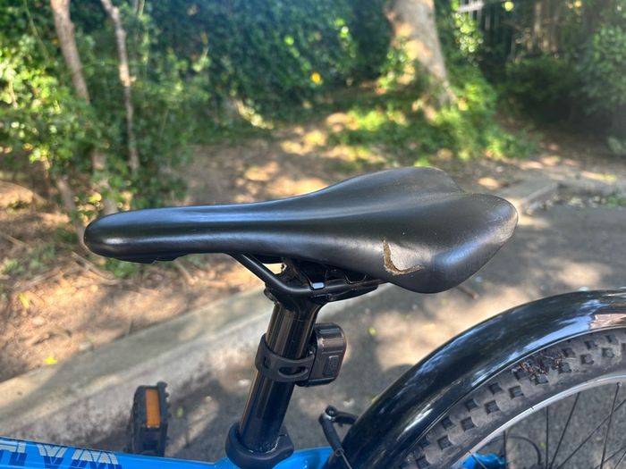 Trek Wahoo 20" Kids Bike