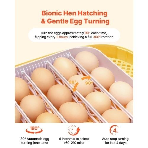 24 Egg Incubator, Automatic Egg Turner with LED Candler, Temperature  Humidity Control, 360 View Clear Window, Auto Water Refill, Poultry Eggs Incubators for Hatching Chicks Ducks Goose Quail