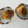 Handmade Seashell Stud Earrings Image 2