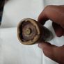 Vintage Zeiler No. 229 Flashlight Battery Image 4