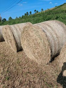 Bales