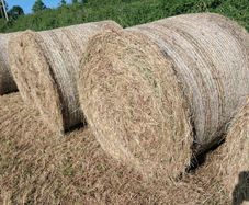 Bales