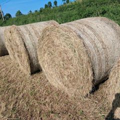 Bales