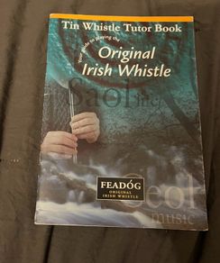 How to Play the Penny Whistle book Feadog D Tin Whistle Tutor Book