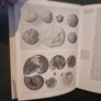 Pebble polishing and pebble jewellery .Hardcover  .1973 Image 5