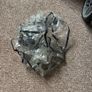 Uppababy Cruz Buggy & bassinet Image 5
