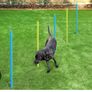 Dog Agility Set Image 8