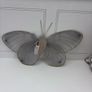 Butterfly wings Image 2