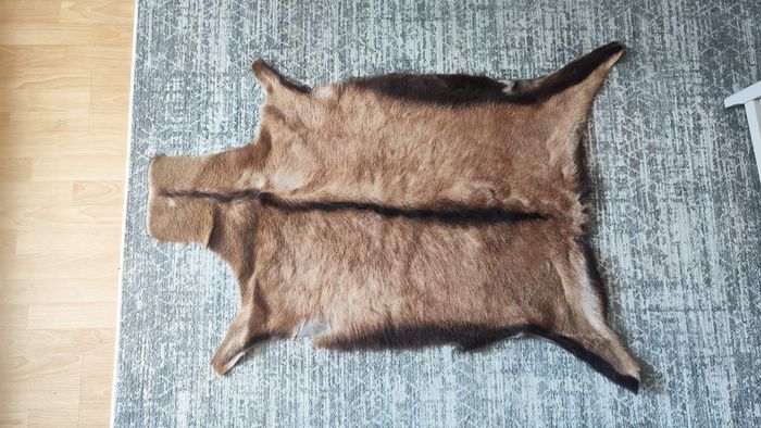 Genuine deer hide rugs