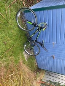 carerra bike