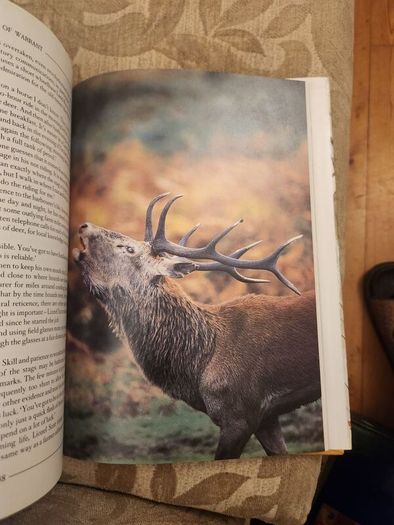 The Fields In Winter. Sporting Memories Of A Bygone Age.  By Graham Downing. First Edition Hardback With Dustjacket In Good Condition.