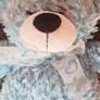 teddy Image 5