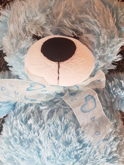 teddy