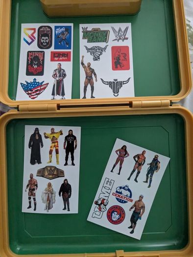WWE Money in the Bank Electronic Case
