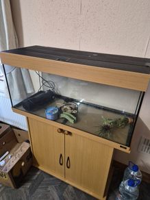 Fish Tank