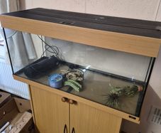Fish Tank